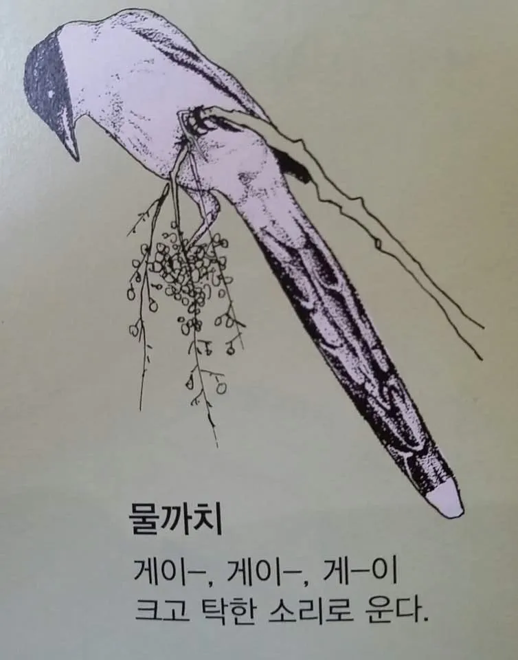 와 저기 유게이 지나간다!_1.webp