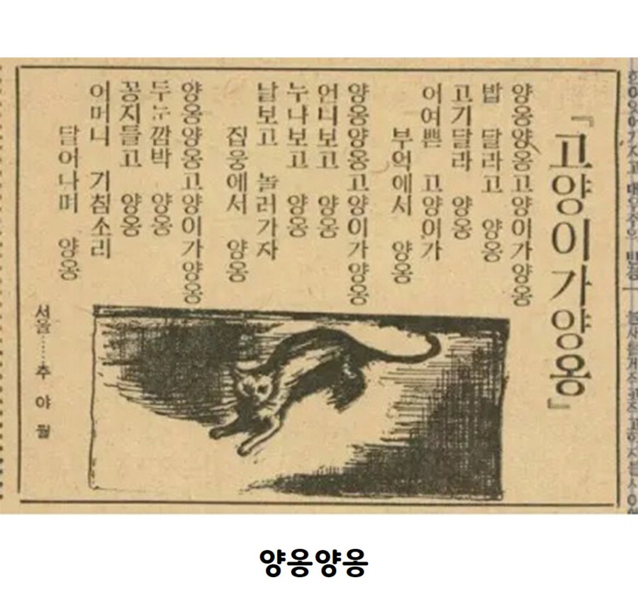 옛날 신문 고양이_4.jpg