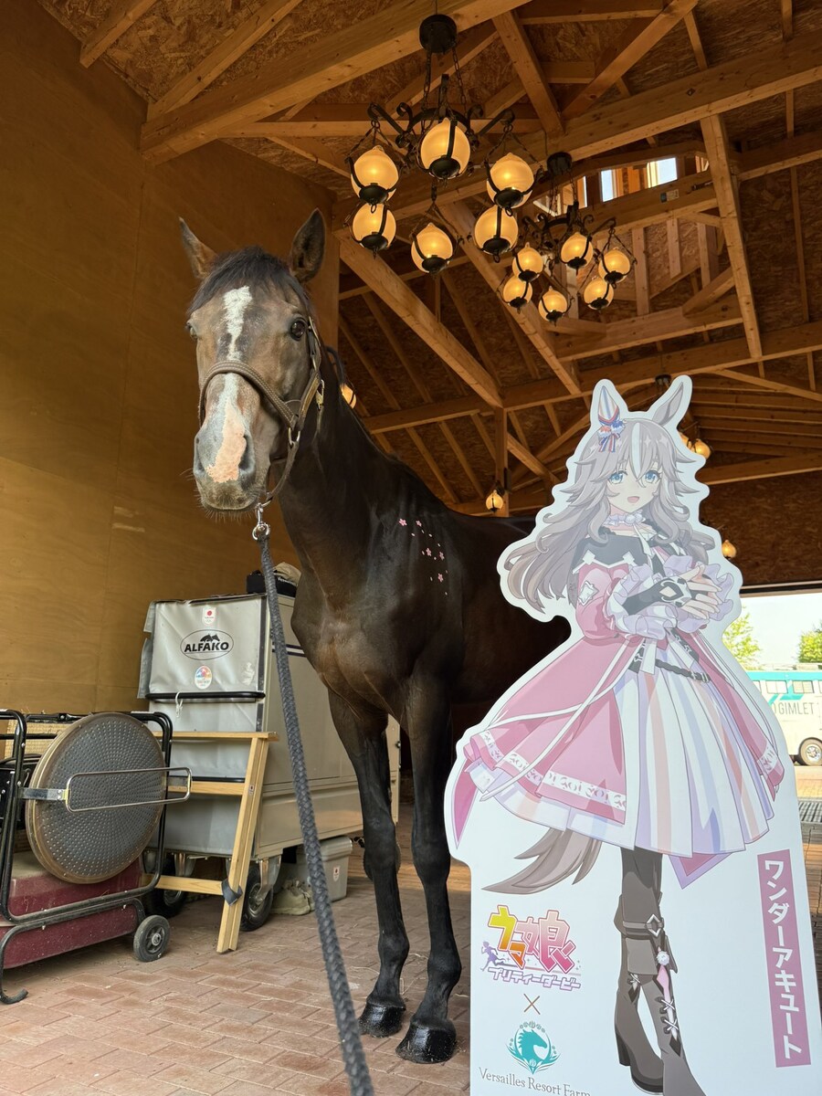 말딸) 또 다른 세계선의 자신과 마주선_1.png