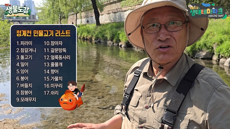 청계천 생태계 근황_1.png