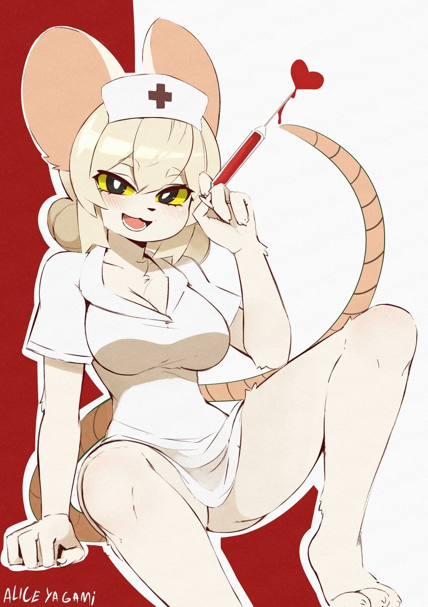 퍼리퍼리야_9.jpg