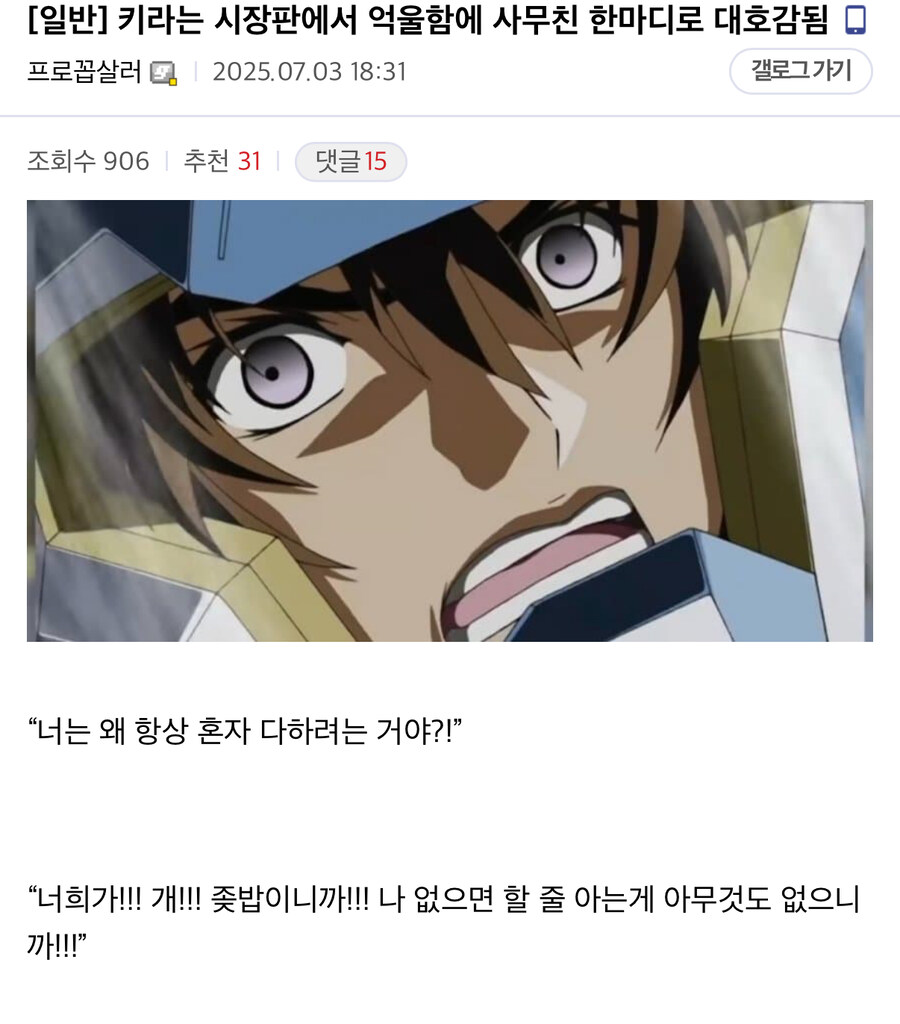 건담) 20년만에 키라의 캐릭터를 완성시킨 한마디_1.jpg