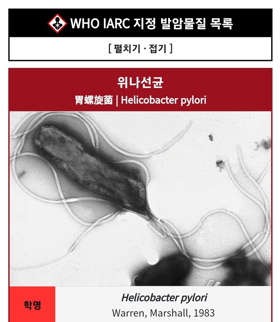 엄청나게 해로운 로리균_1.jpg