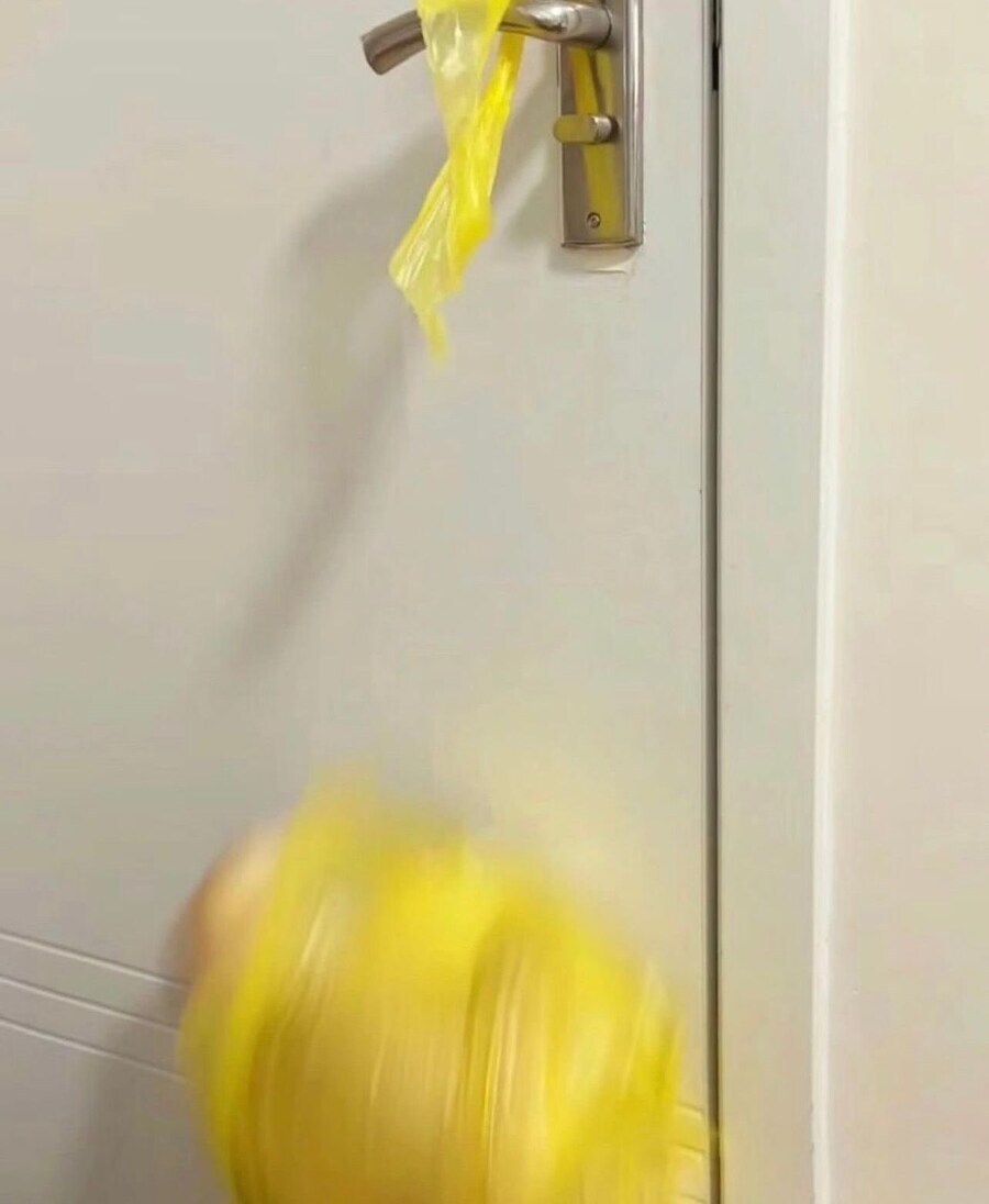 고양이 납치는 비닐봉지하나면 된다고 들었음.gif_2.jpg
