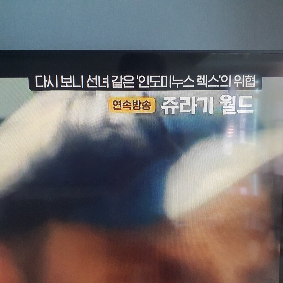 쥬라기월드1에 인도미누스 렉스가 다시보니 선녀라고?_1.jpg