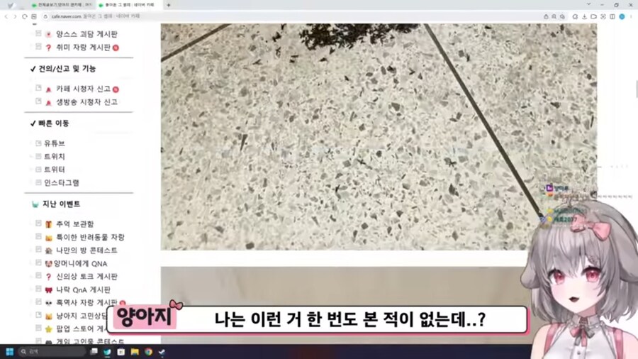 버튜버) 벌칙으로 등산하기 앞서 러브버그 사태를 본 양아지.jpg_8.jpg