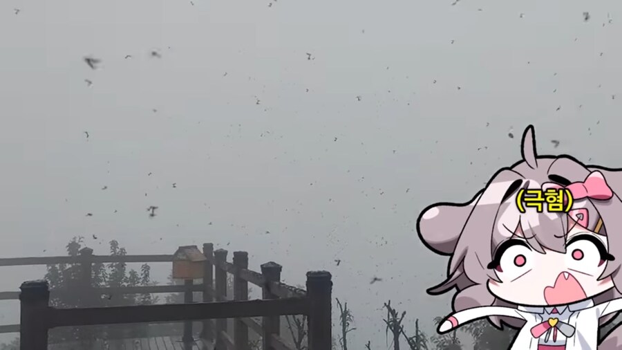 버튜버) 벌칙으로 등산하기 앞서 러브버그 사태를 본 양아지.jpg_9.jpg