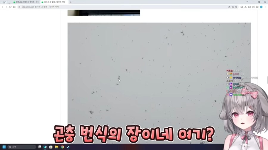 버튜버) 벌칙으로 등산하기 앞서 러브버그 사태를 본 양아지.jpg_10.jpg