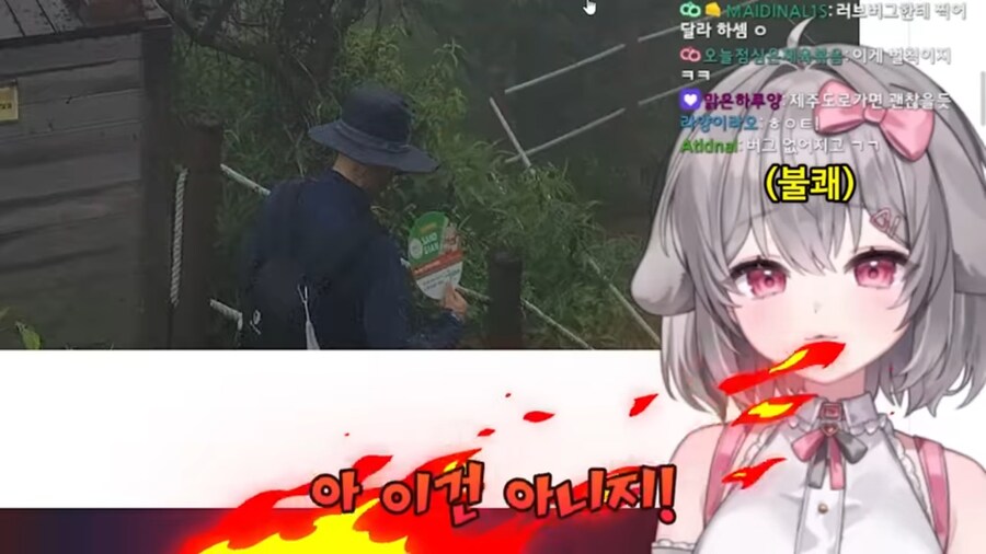 버튜버) 벌칙으로 등산하기 앞서 러브버그 사태를 본 양아지.jpg_15.jpg
