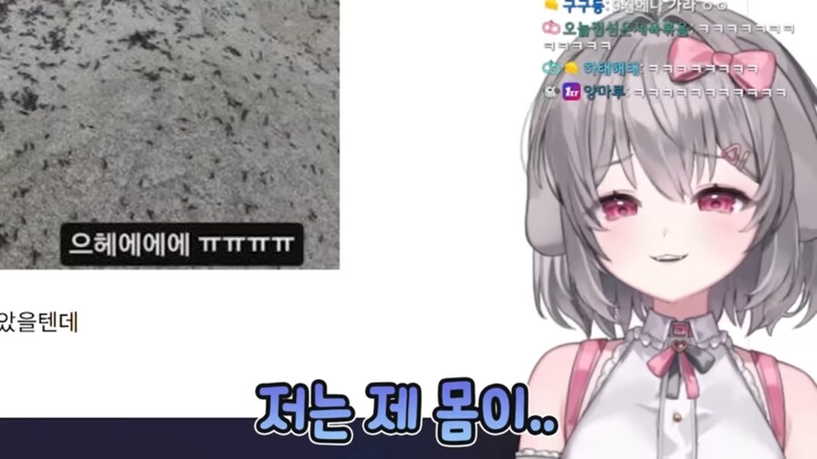 버튜버) 벌칙으로 등산하기 앞서 러브버그 사태를 본 양아지.jpg_21.jpg