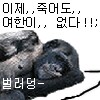 버튜버)점장님 넨도가 왔어_9.png