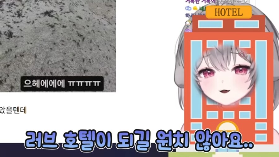 버튜버) 벌칙으로 등산하기 앞서 러브버그 사태를 본 양아지.jpg_22.jpg