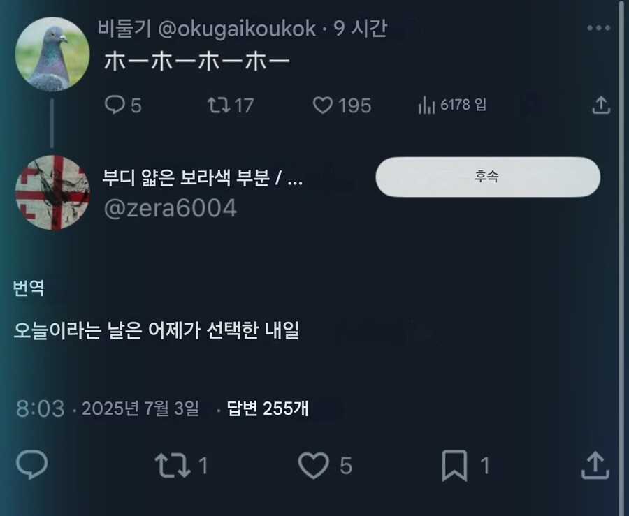 구구거리는 비둘기계정 사람말하게 하는법_3.jpg