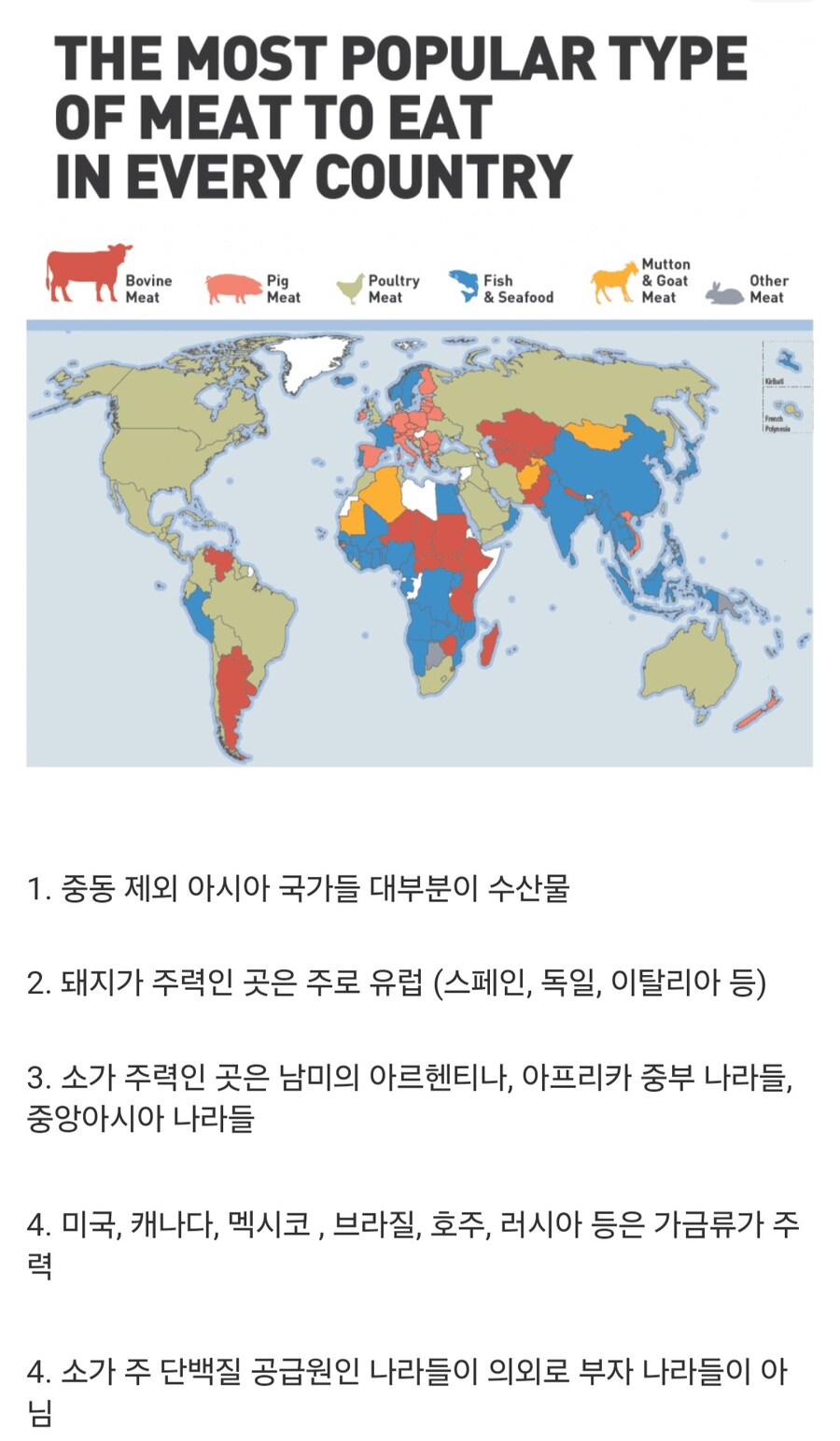 국가별 주력 단백질 공급원 통계_1.jpg
