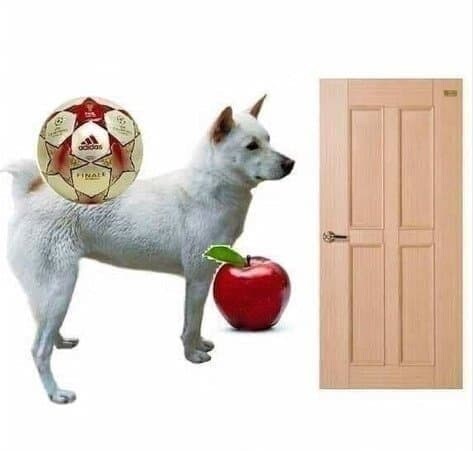 ㅇㅇㄱ) 근데 광고방송에서 처울었다고?_1.jpg
