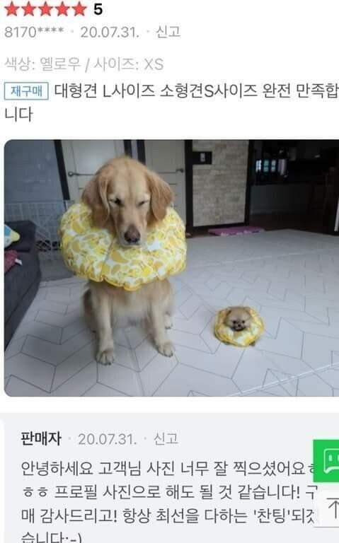 최고로 귀여운 제품후기.jpg_1.jpg