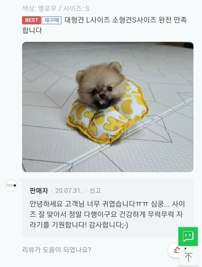 최고로 귀여운 제품후기.jpg_2.jpg