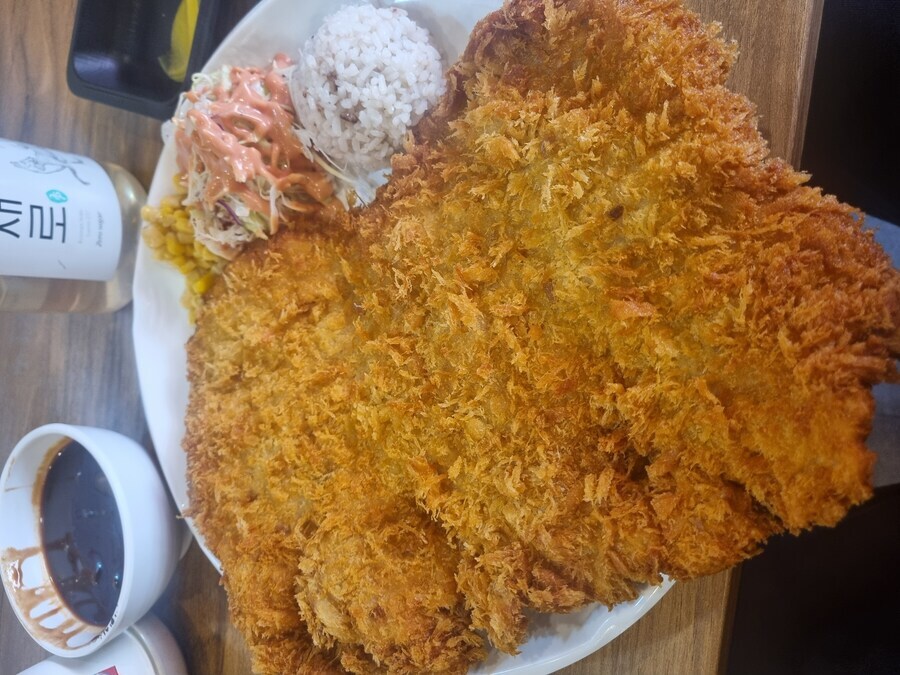 1만2천원짜리 돈까스인데 밥을 ㅈ만하게 줘도 말을 못함._1.jpg