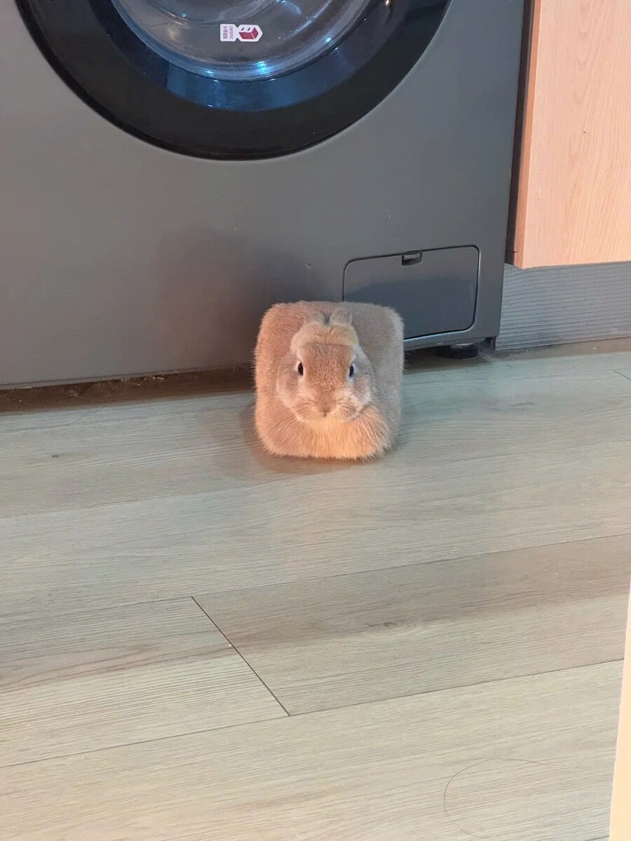 큐브화_1.jpg