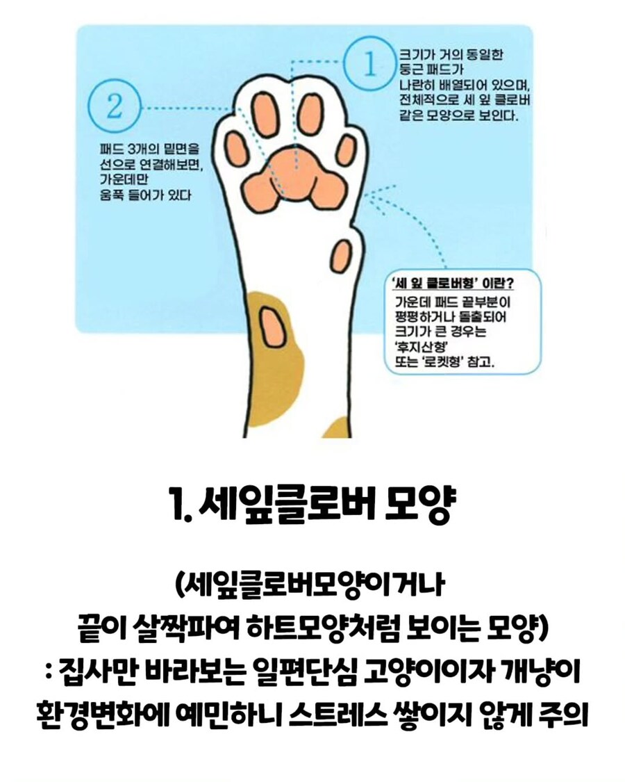고양이 손금.._1.jpg