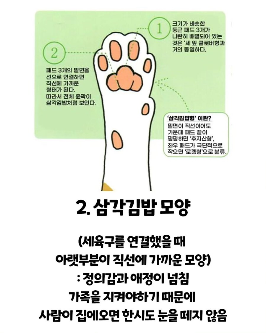 고양이 손금.._2.jpg