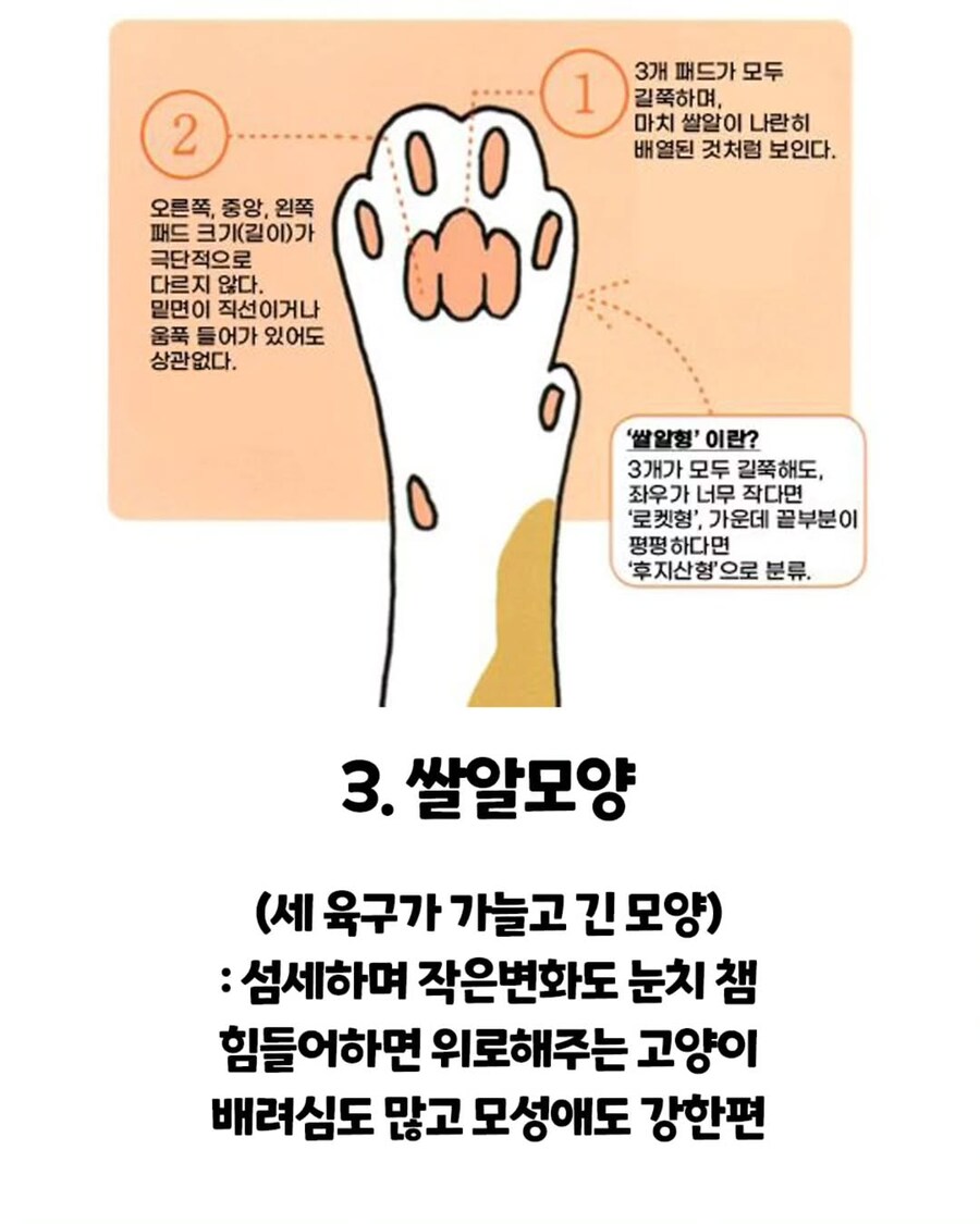 고양이 손금.._3.jpg