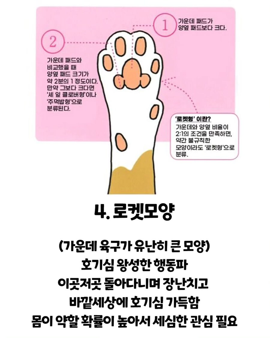 고양이 손금.._4.jpg