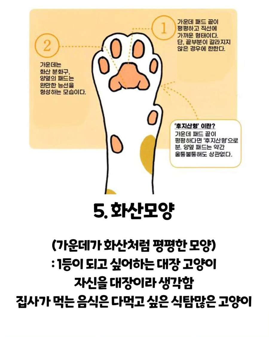 고양이 손금.._5.jpg