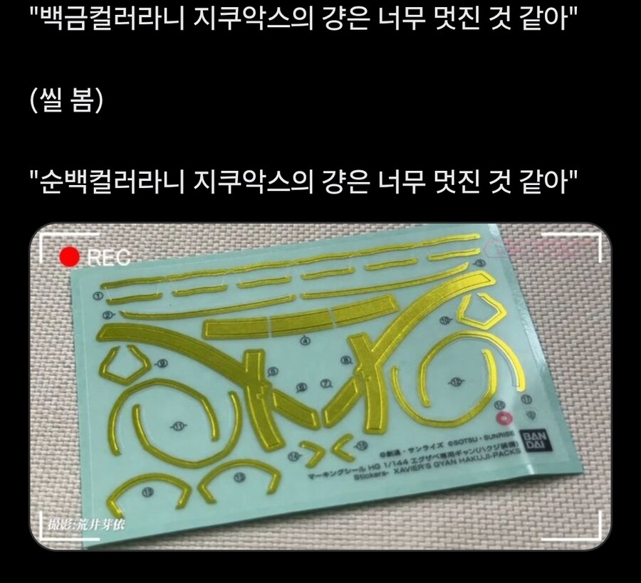 건담)??:백금색의 걍은 정말 이쁜것 같아_1.jpg
