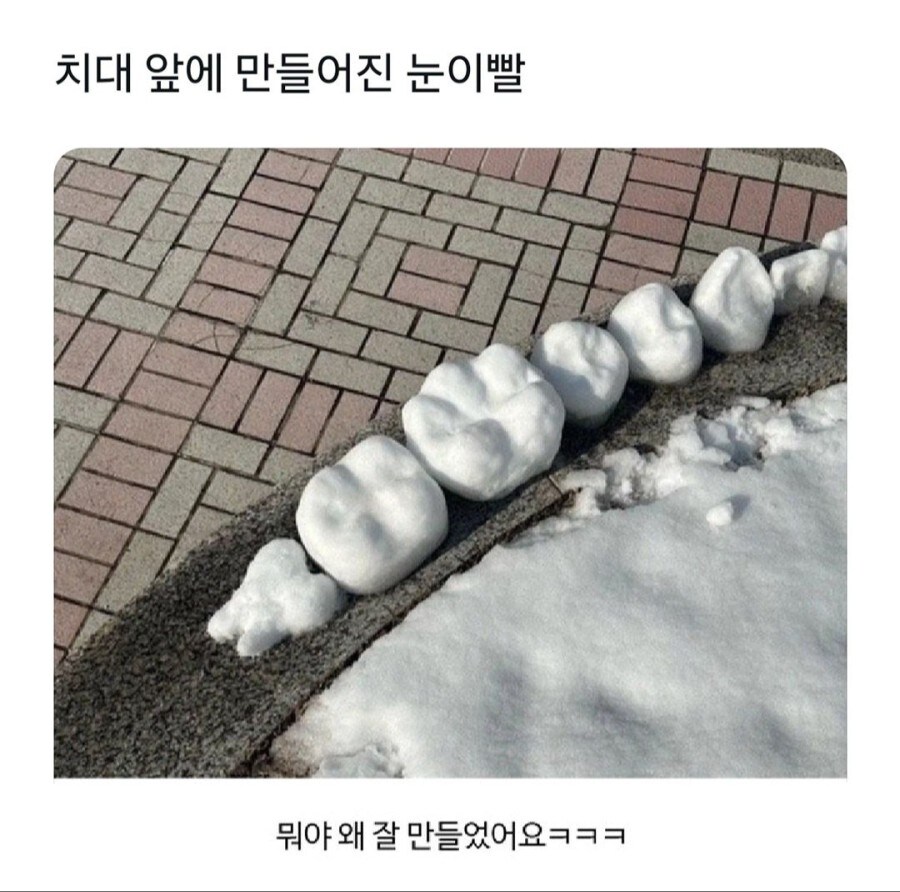 치대 앞에 만들어진 눈 이빨.jpg_1.jpg