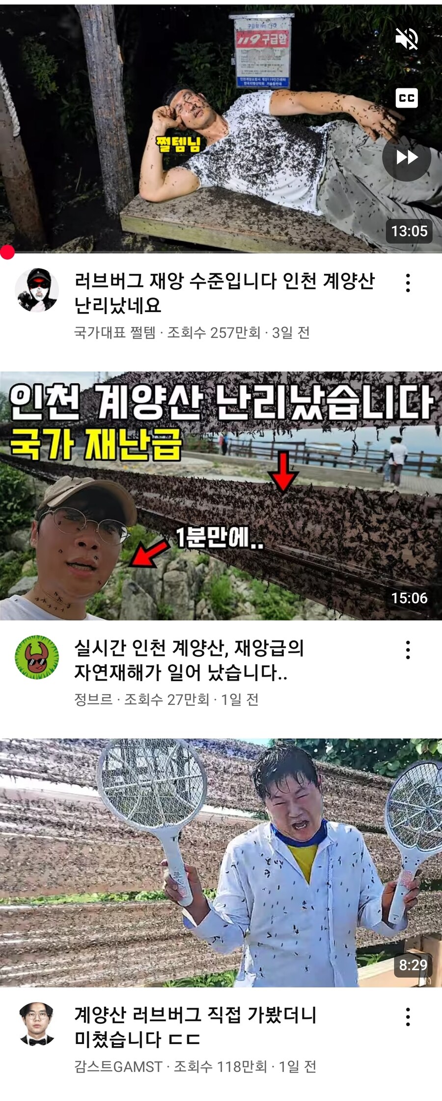 모든 유튜버들이 계양산으로 향하기 시작한거야!_2.jpg