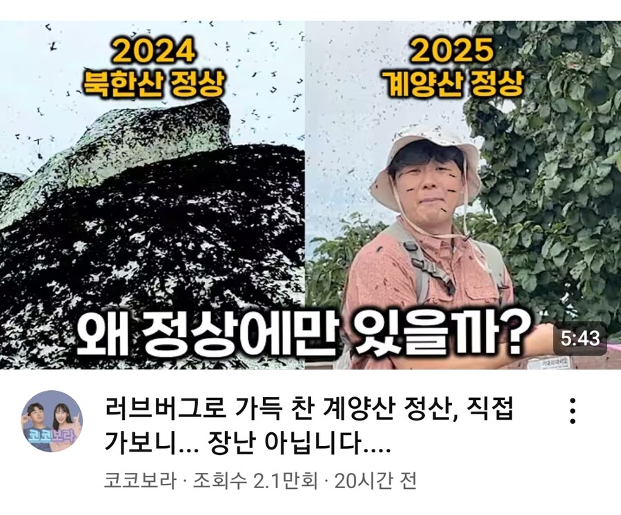모든 유튜버들이 계양산으로 향하기 시작한거야!_3.jpg