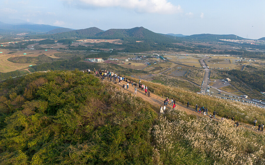 새별오름 드론샷_7.jpg