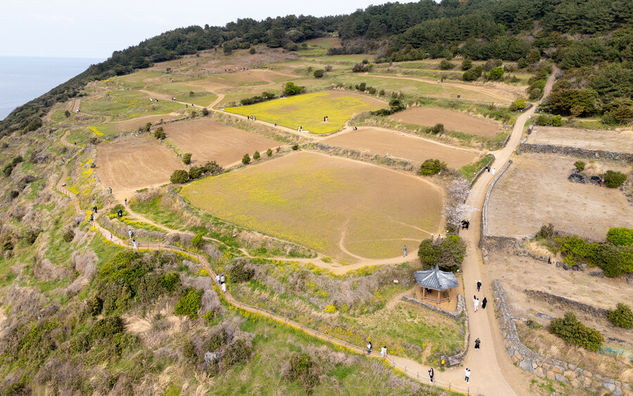 함덕해수욕장 드론샷_3.jpg