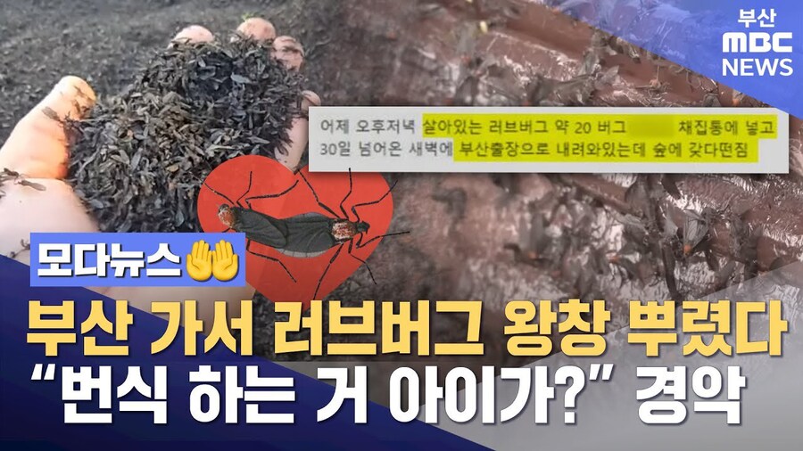 ..???? 돌아버린거신가_1.jpg