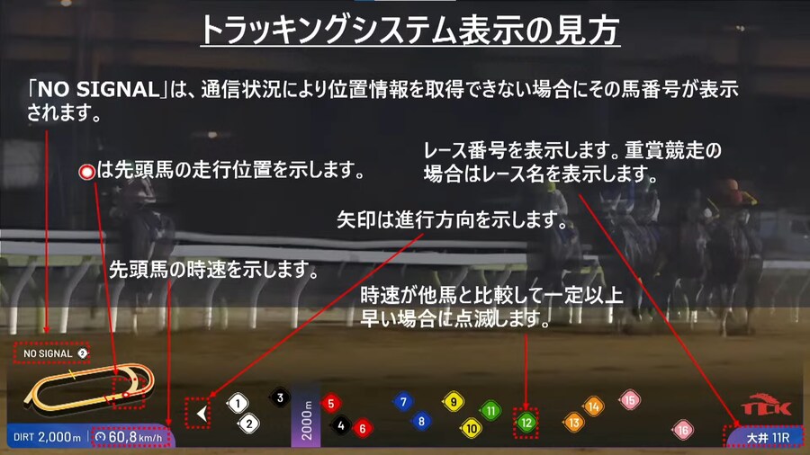 경마) 얼마전 일본 제왕상 보고 충격먹은거_1.png