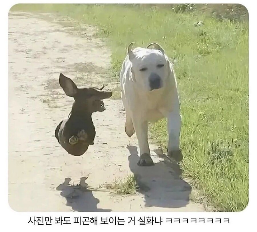 외향형에게 기빨리는 내향형_1.png