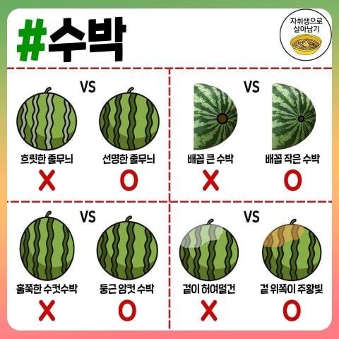 각종 과일, 채소, 육류, 식재료 고르는 팁.jpg_8.jpg