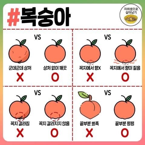 각종 과일, 채소, 육류, 식재료 고르는 팁.jpg_9.jpg