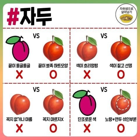 각종 과일, 채소, 육류, 식재료 고르는 팁.jpg_10.jpg