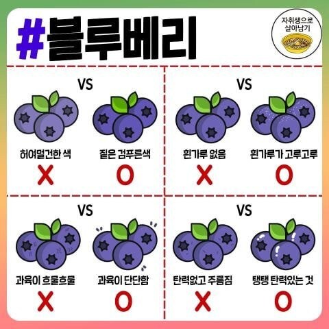 각종 과일, 채소, 육류, 식재료 고르는 팁.jpg_14.jpg