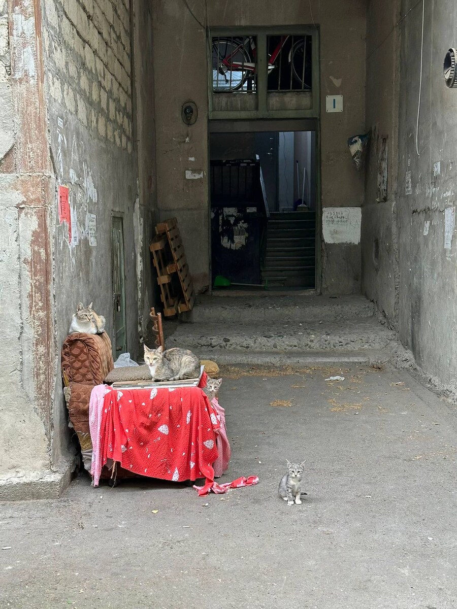 조지아의 생활_3.jpg