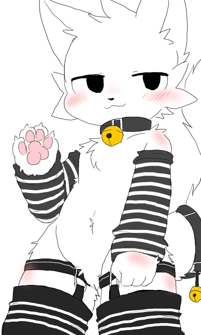 퍼리_7.jpg