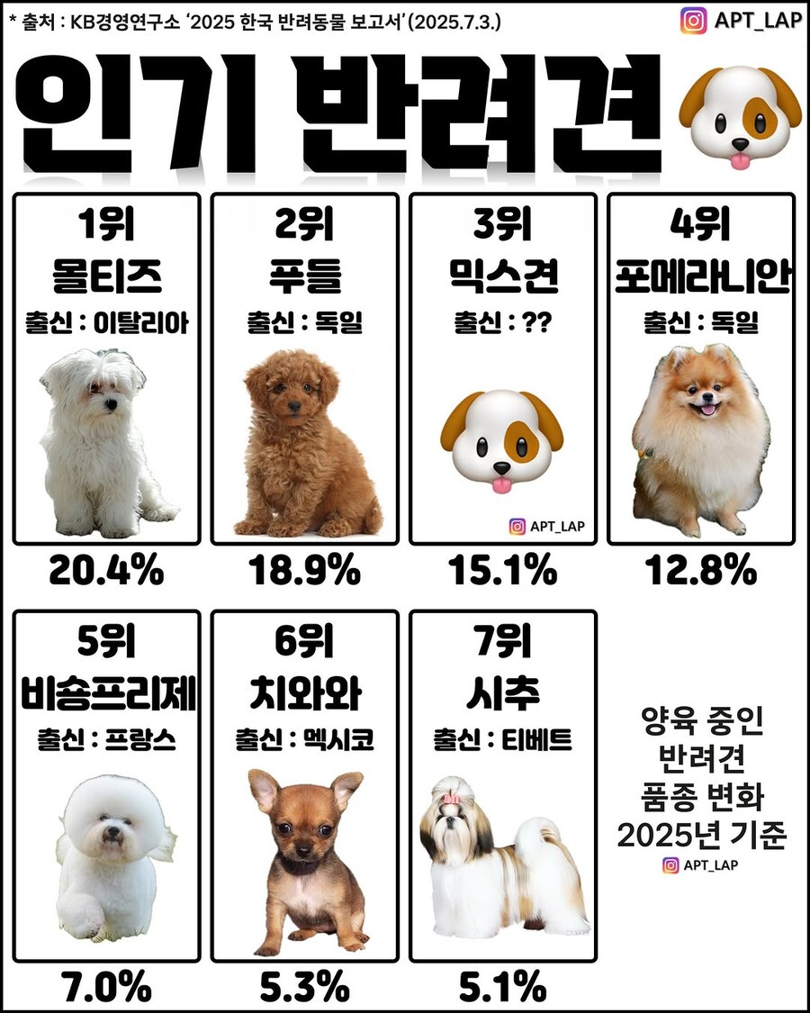 가장 인기 있는 반려견 TOP7.jpg_1.jpg