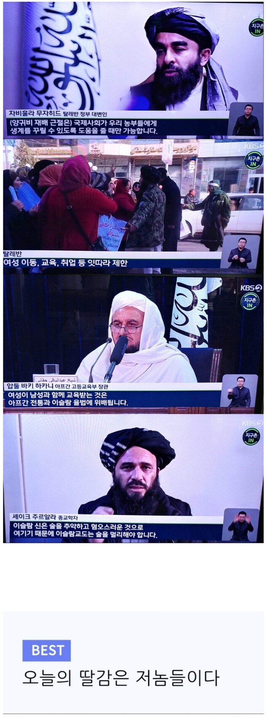 탈레반을 강.간한 정의의 유게이들 이야기_1.jpg