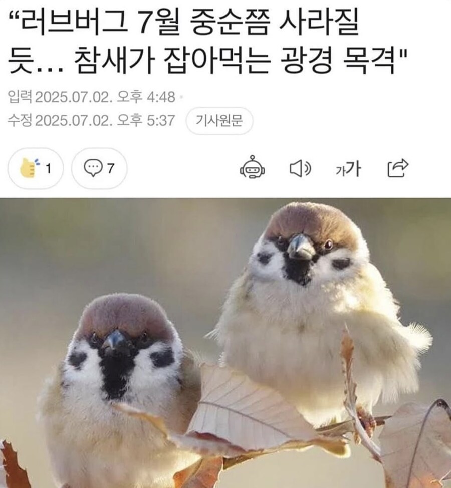 7월 중슨쯤 러브버그 박멸 예정_1.jpg