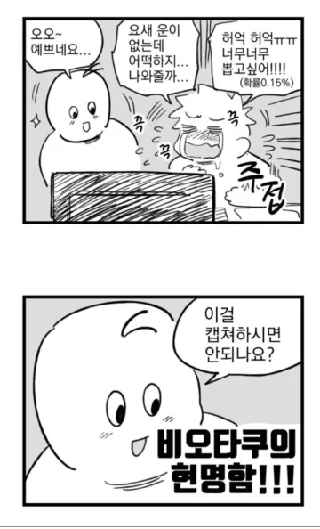 비오타쿠의 현명함.JPG_1.webp