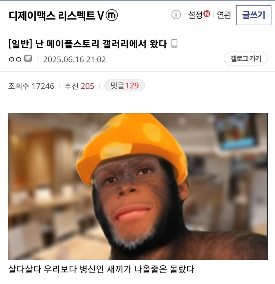 ㅇㅇㄱ) 나중엔 얘내보다 밑바닥이 나올까?_1.jpg