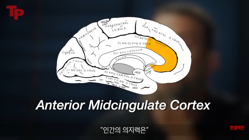 인간의 의지력을 키우는 유일한 방법_1.png