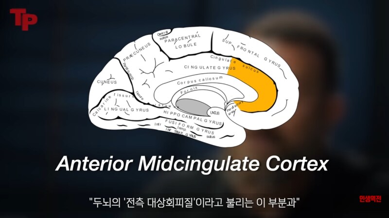 인간의 의지력을 키우는 유일한 방법_2.png